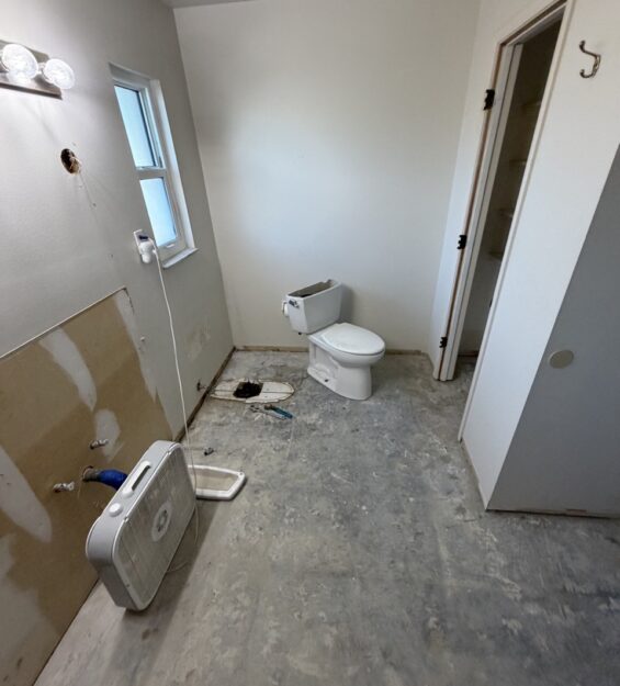 IMG_0101-preview Large