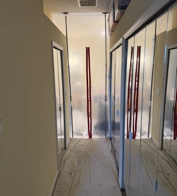 IMG_3268-preview Large